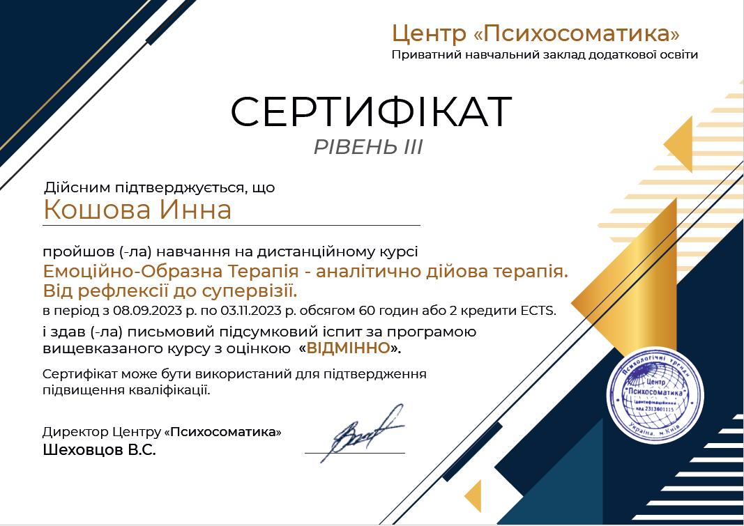 Сертифікат 2 Інна Ко...