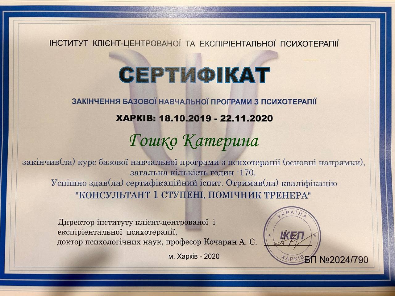 Сертификат 1 Екатерина Но...