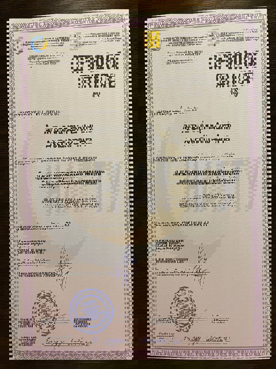 Сертификат 2 Анна Ав...