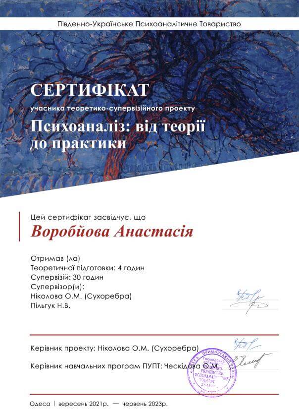 Сертифікат 3 Анастасія Во...