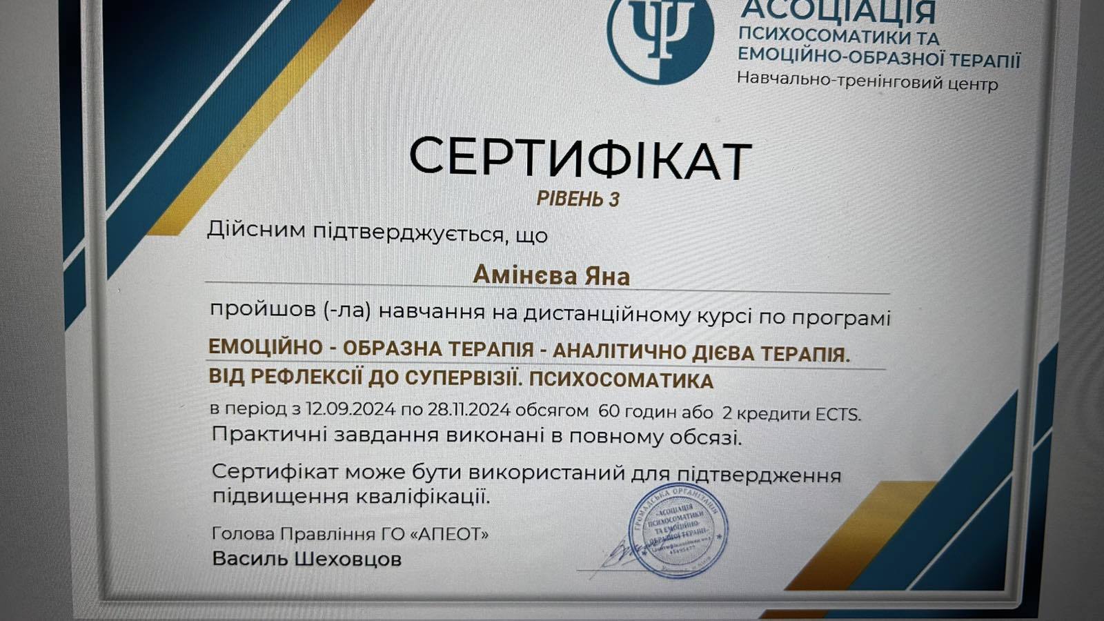 Сертифікат 2 Яна Ам...
