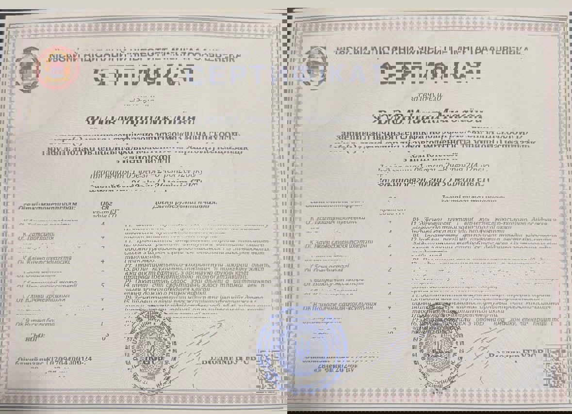 Сертифікат 2 Фролова  Ма...