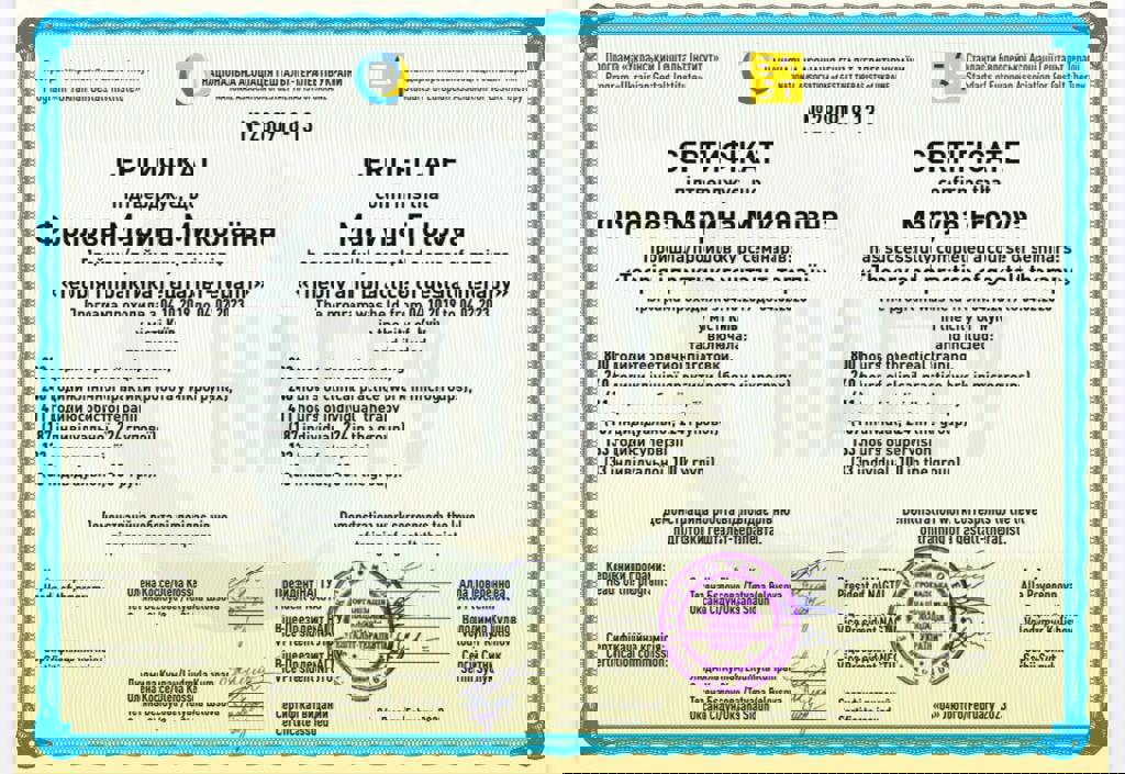 Сертифікат 4 Фролова  Ма...