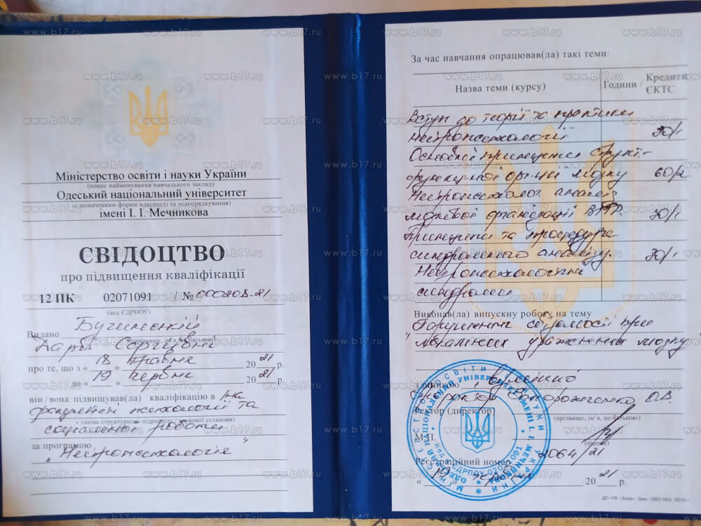 Сертификат 2 Дария Бу...