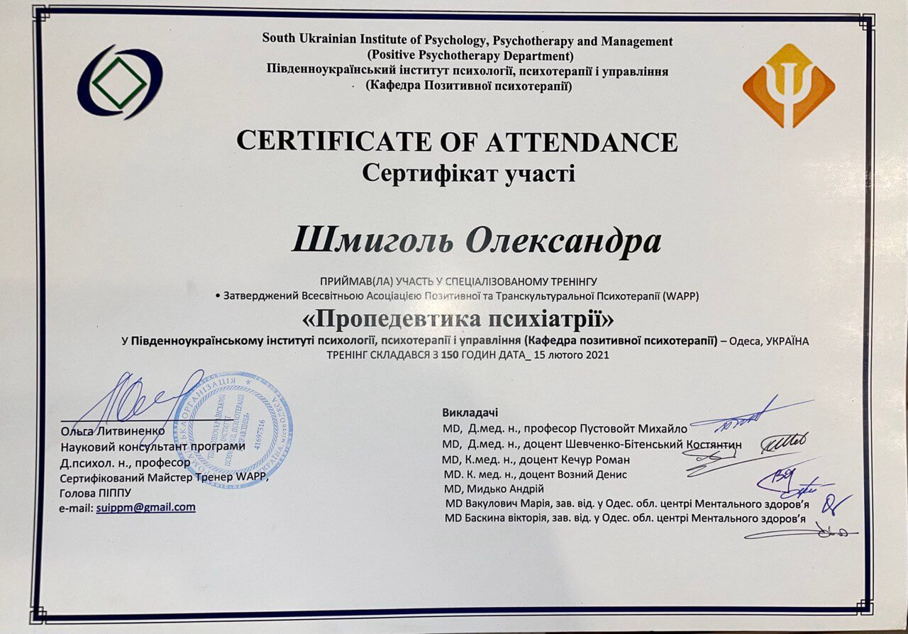 Сертификат 3 Александра Шм...