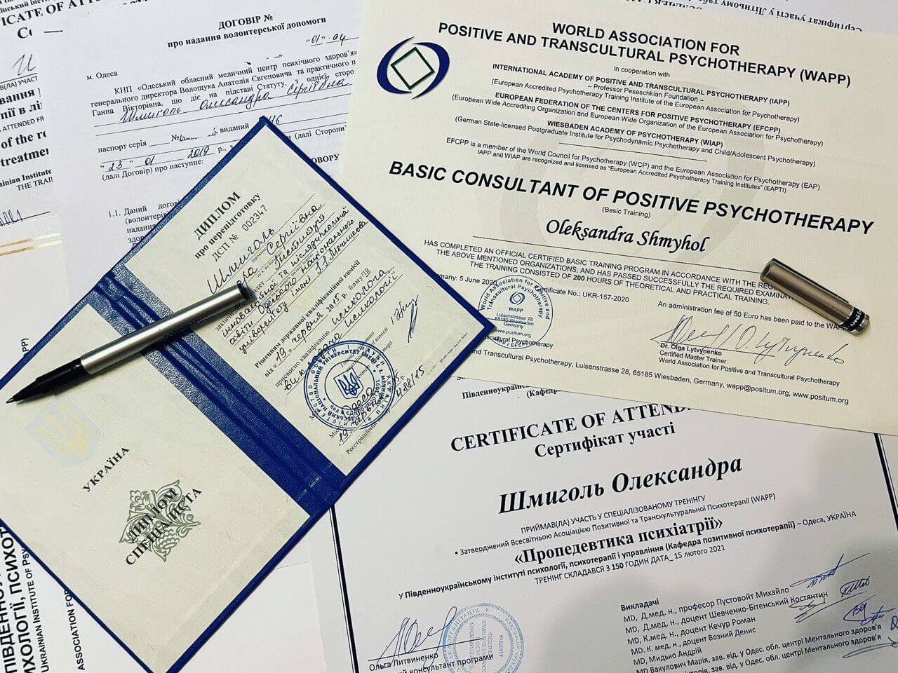 Сертификат 1 Александра Шм...