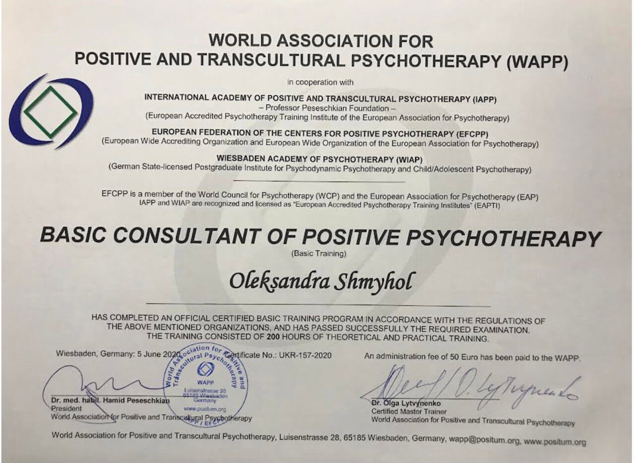 Сертификат 2 Александра Шм...