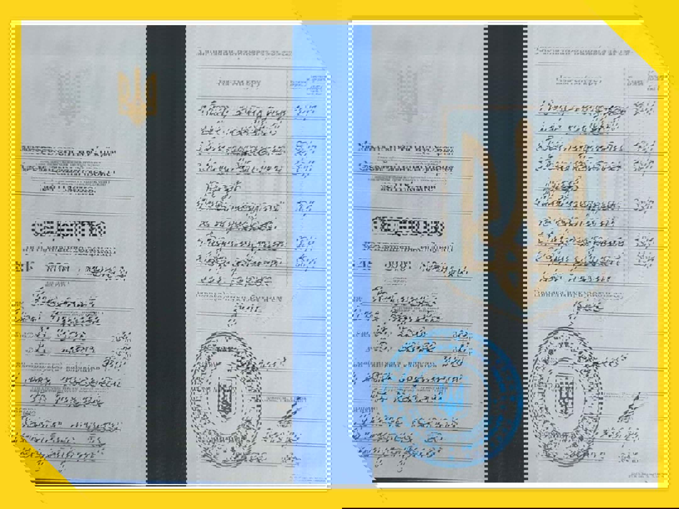 Сертифікат 2 Олена Ко...