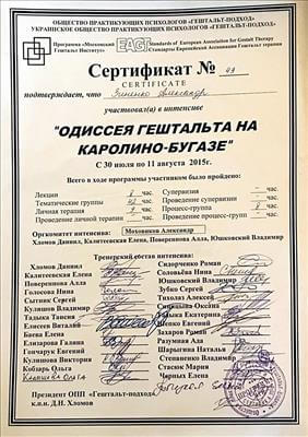 Сертифікат 5 Олександр Зі...