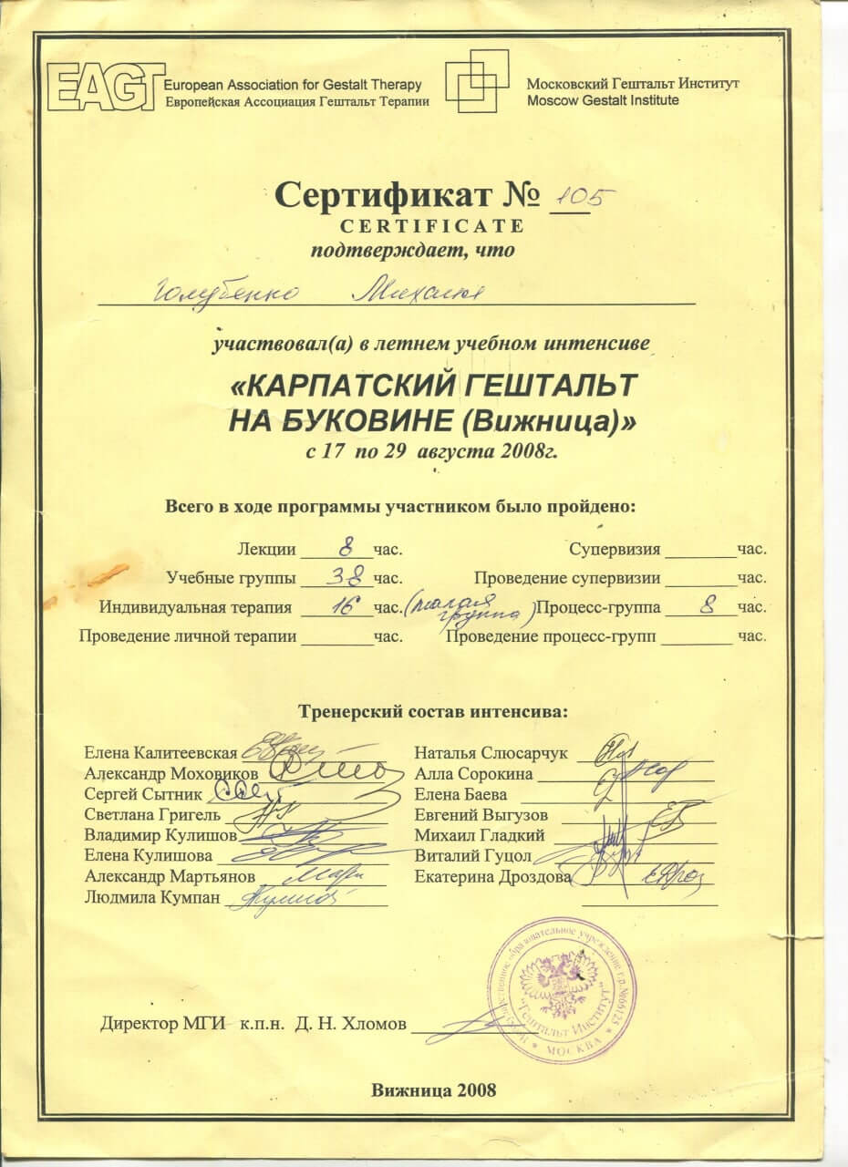 Сертифікат 5 Михайло Го...