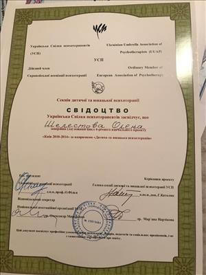 Сертификат 3 Елена Ше...