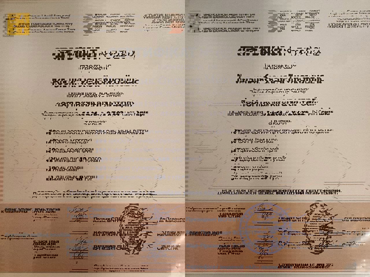 Сертифікат 2 Оксана Ме...