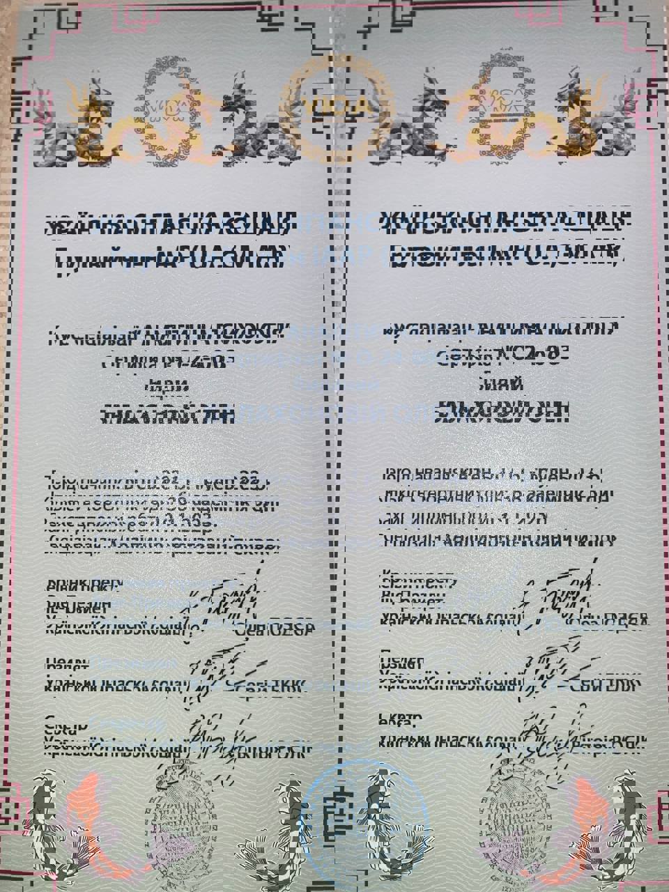 Сертификат 2 Елена Ба...
