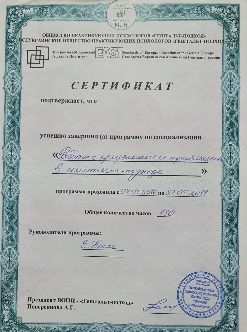 Сертификат 3 Виктория Ти...