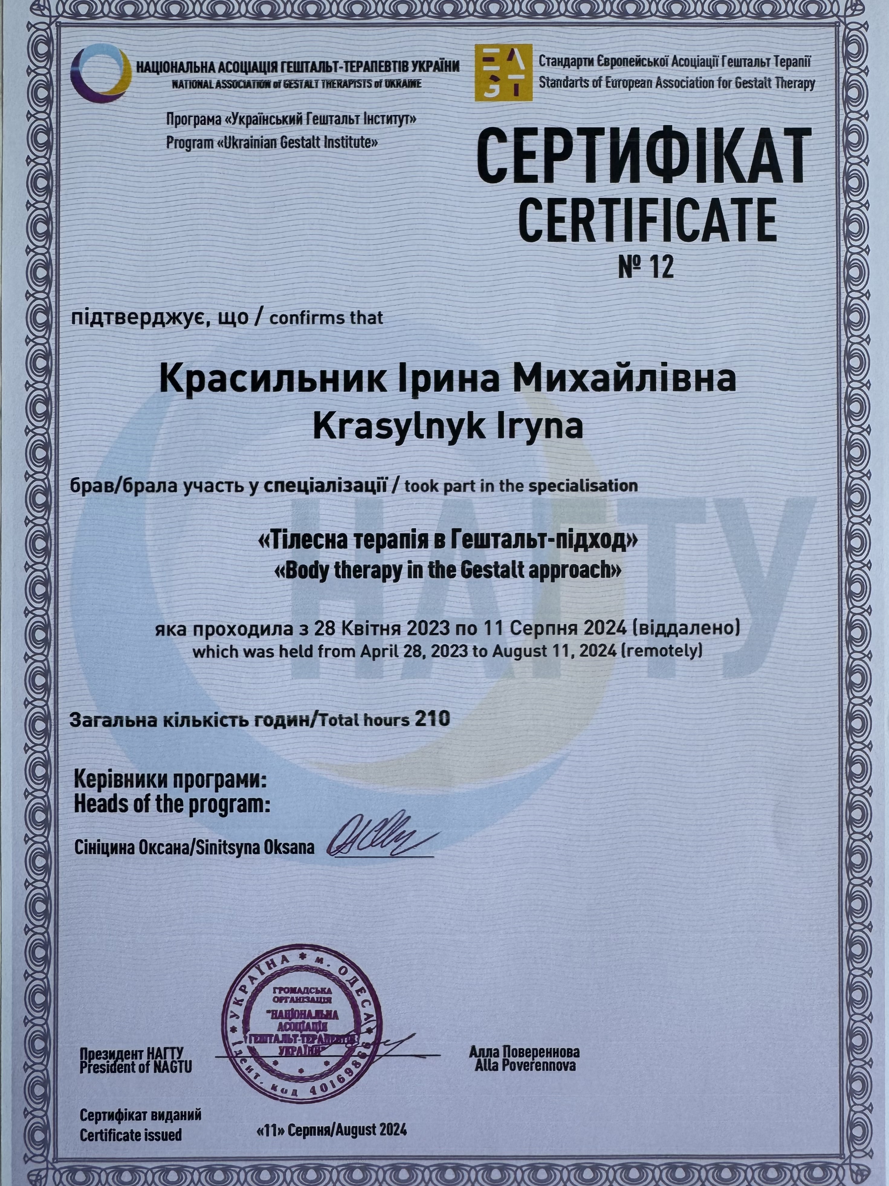 Сертификат 2 Ирина Кр...