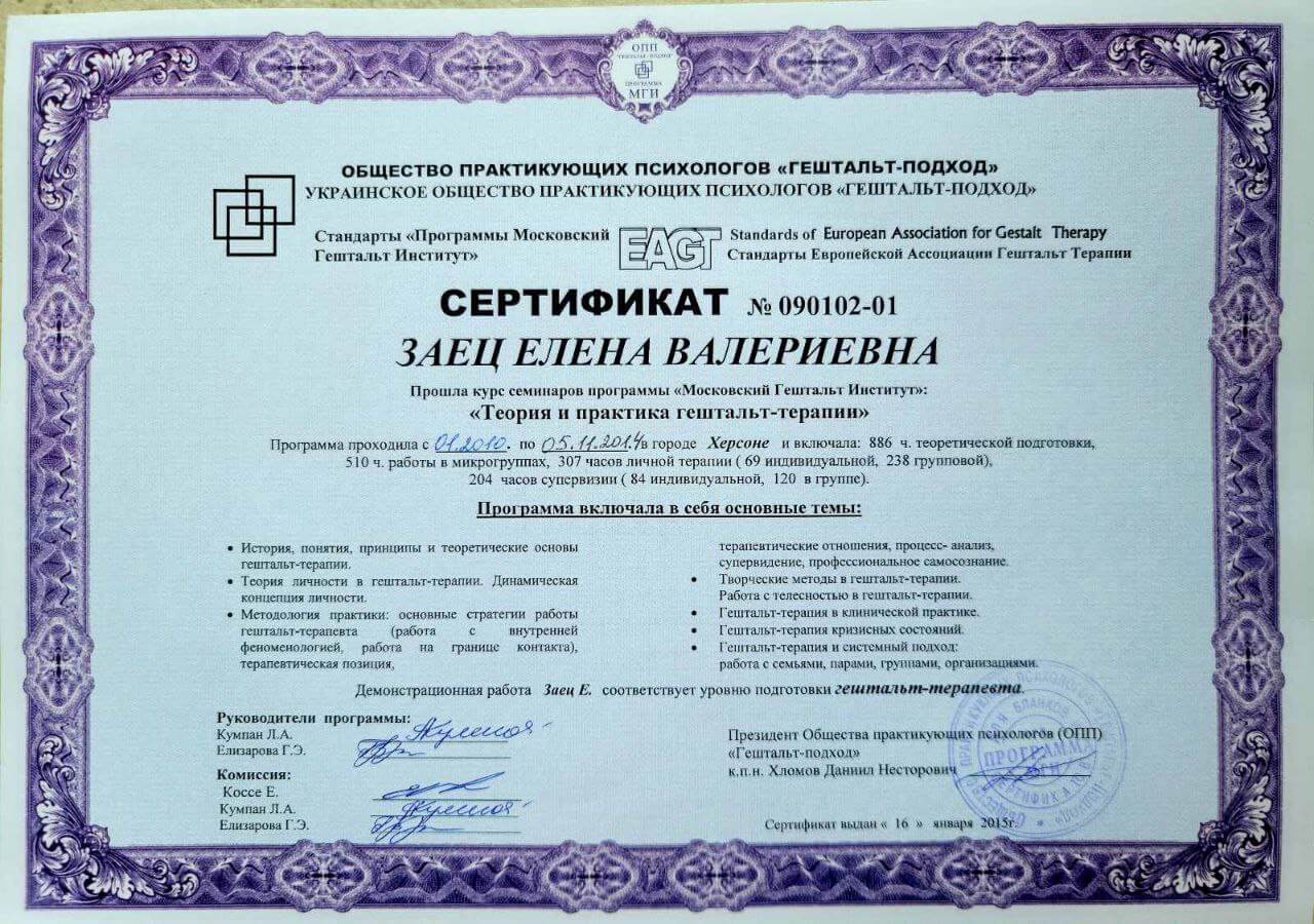 Сертификат 2 Елена За...
