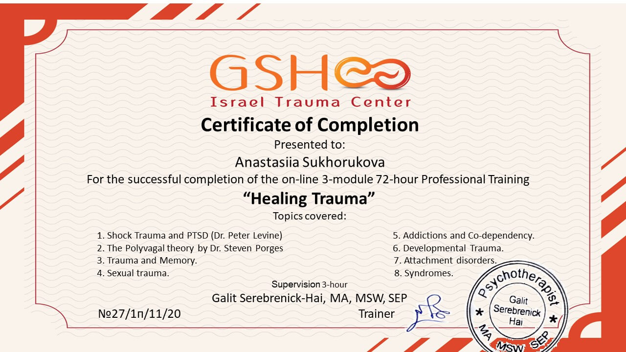 Сертификат 2 Анастасия Су...