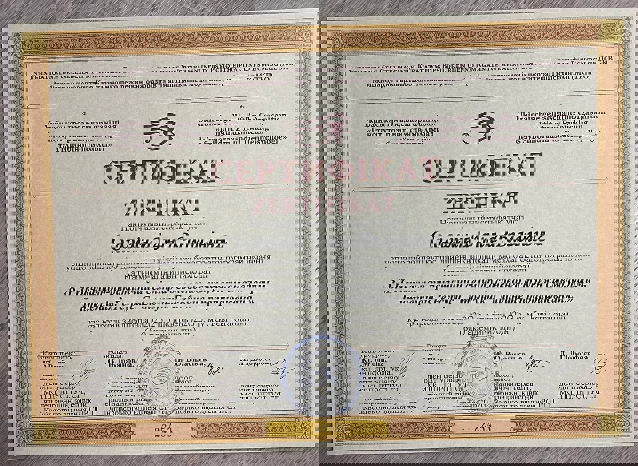 Сертификат 4 Анна Со...