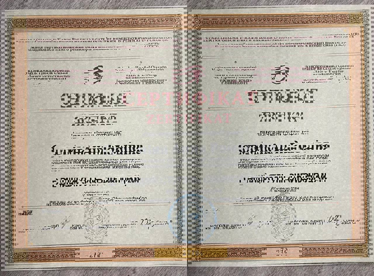 Сертификат 5 Анна Со...