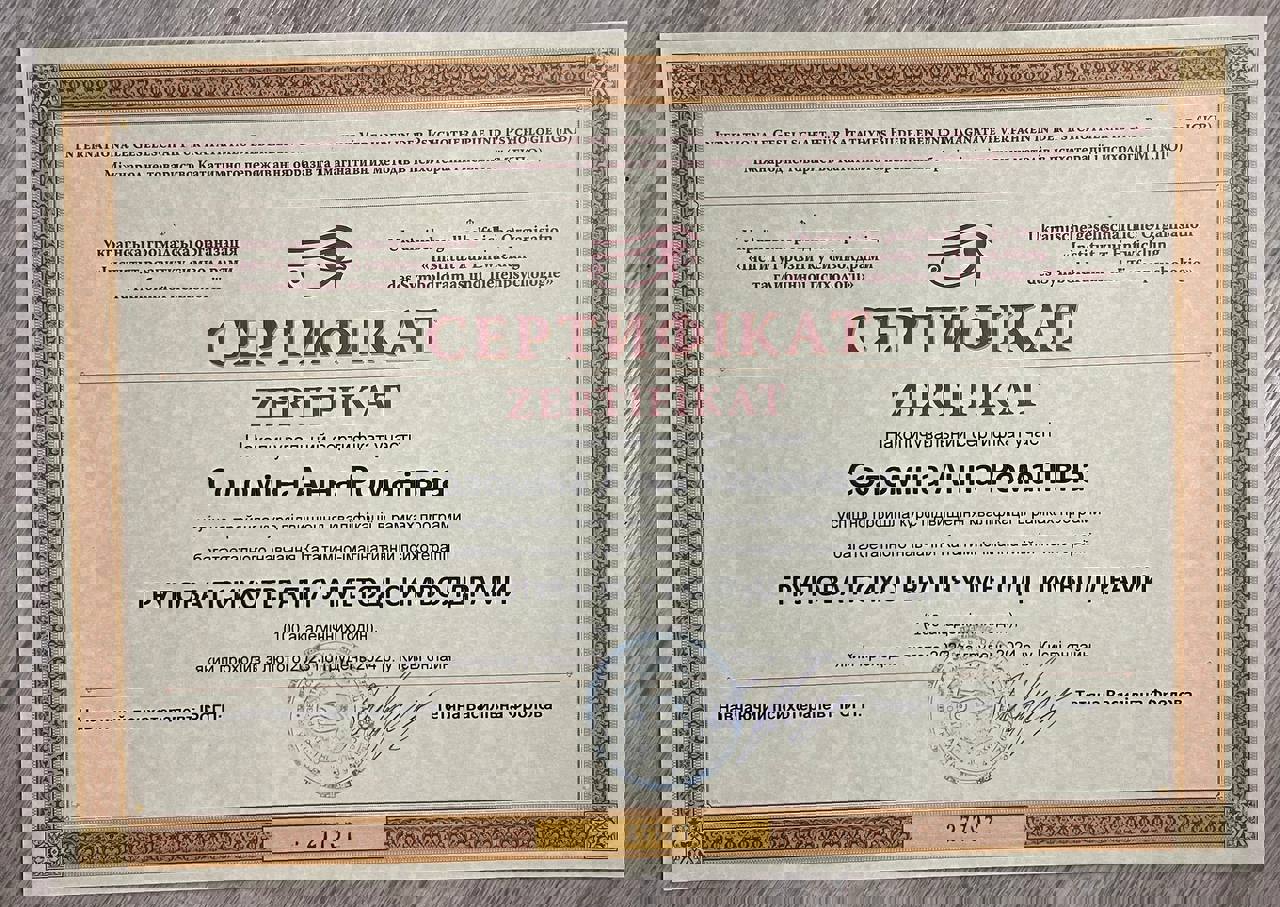 Сертификат 3 Анна Со...