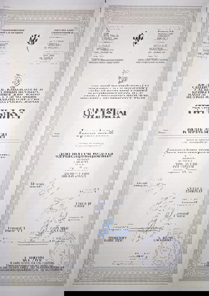 Сертификат 1 Анастасия  Ок...