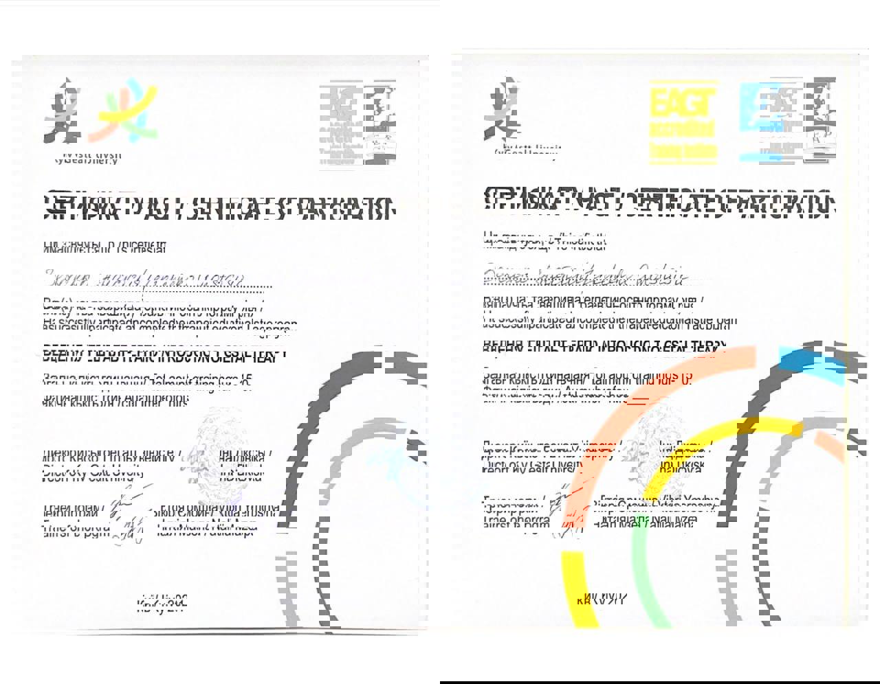 Сертифікат 2 Анастасія Зе...