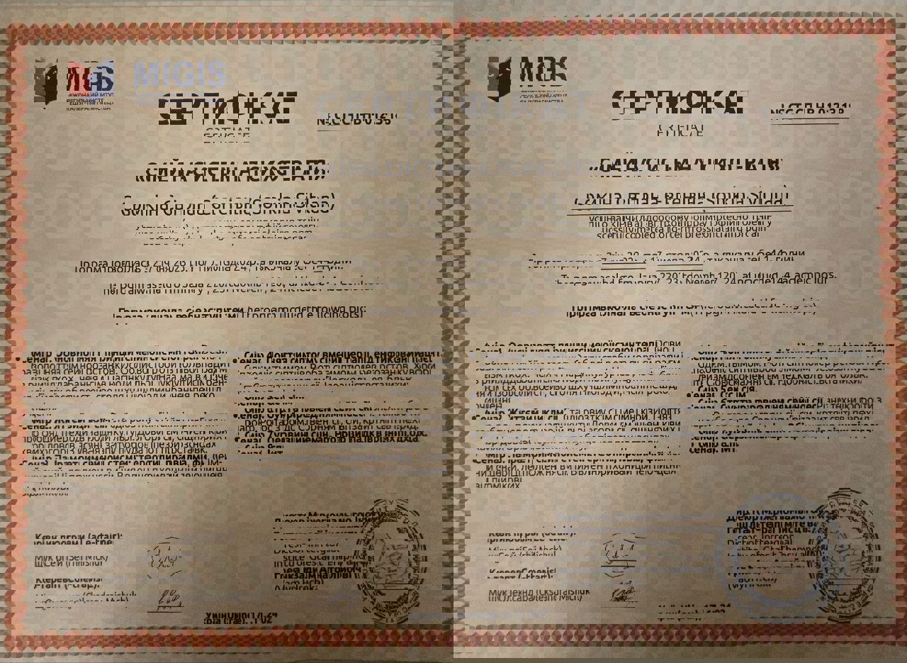 Сертификат 2 Светлана Се...