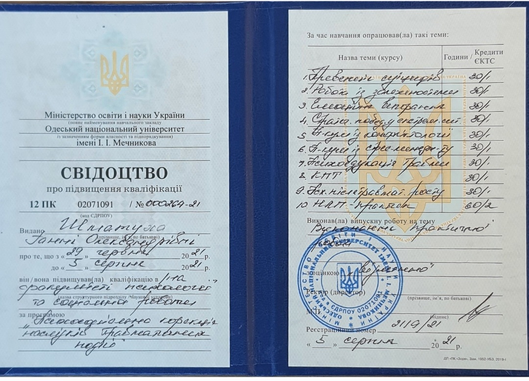 Сертифікат 2 Ганна  Шм...