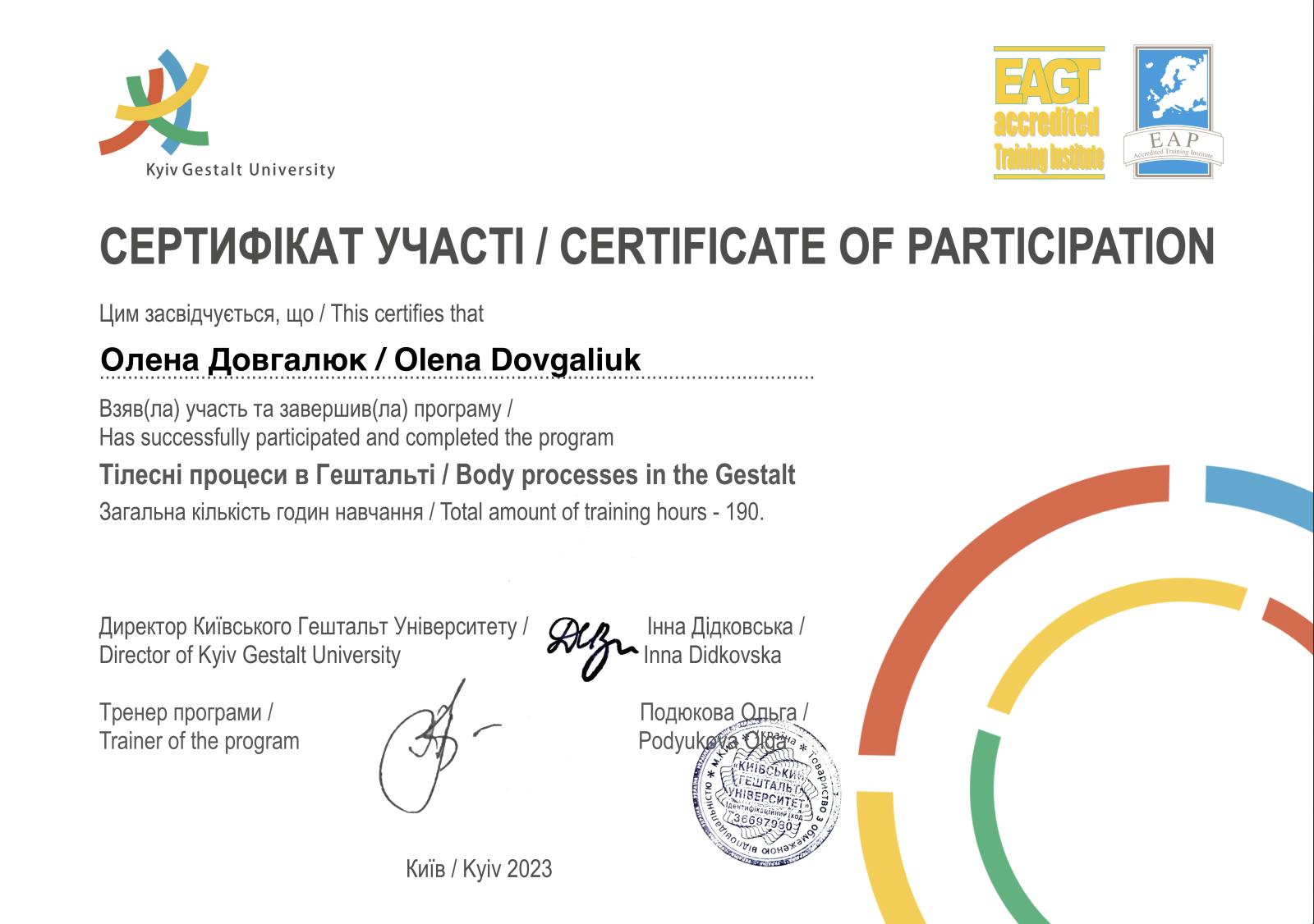 Сертификат 2 Елена До...