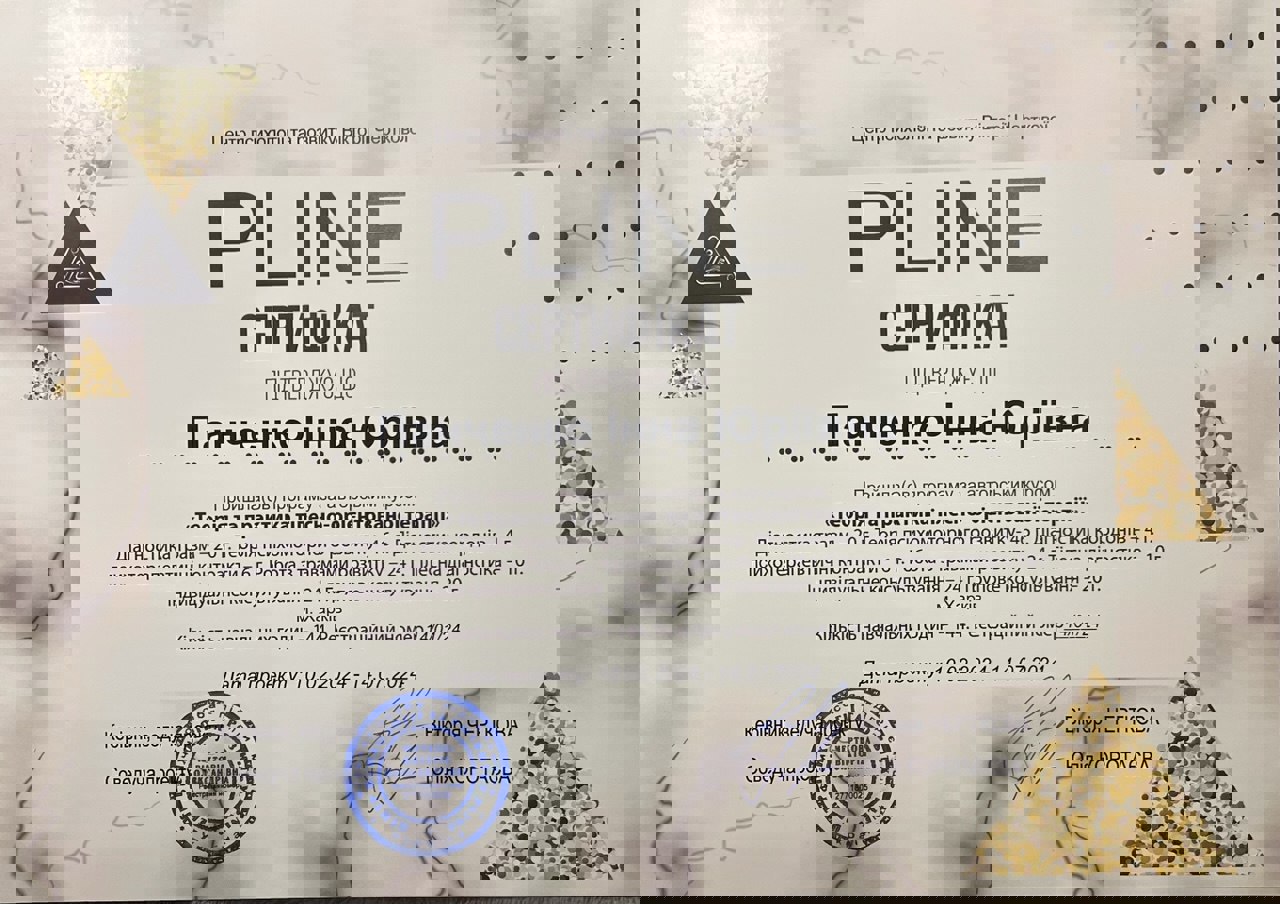 Сертификат 5 Инна Па...