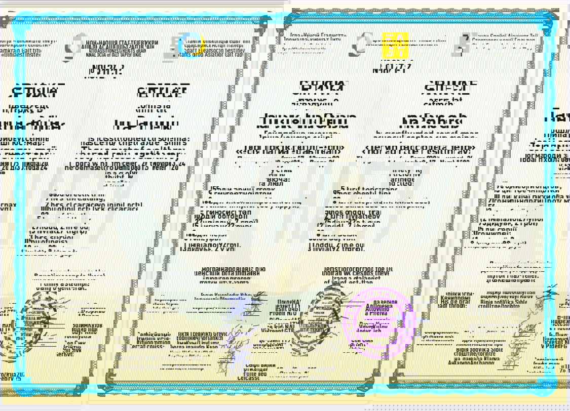 Сертификат 2 Инна Па...