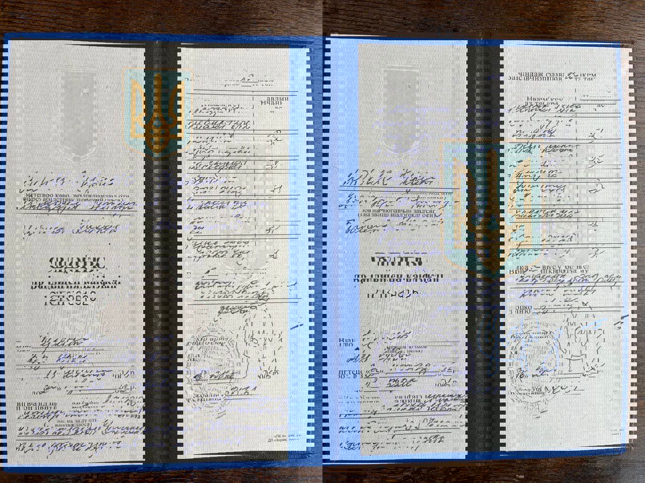 Сертификат 2 Вера Ку...