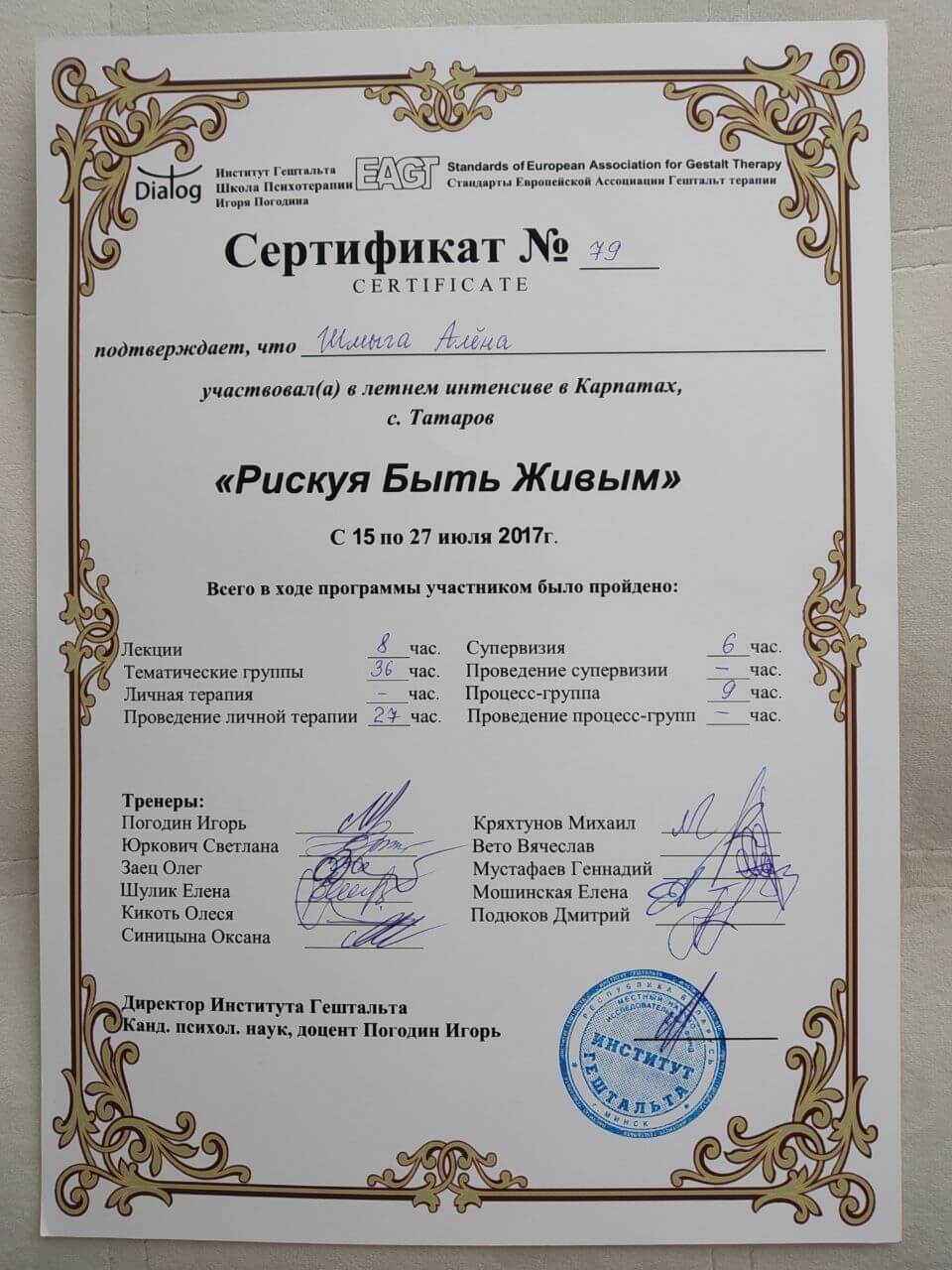 Сертификат 4 Алёна Шм...