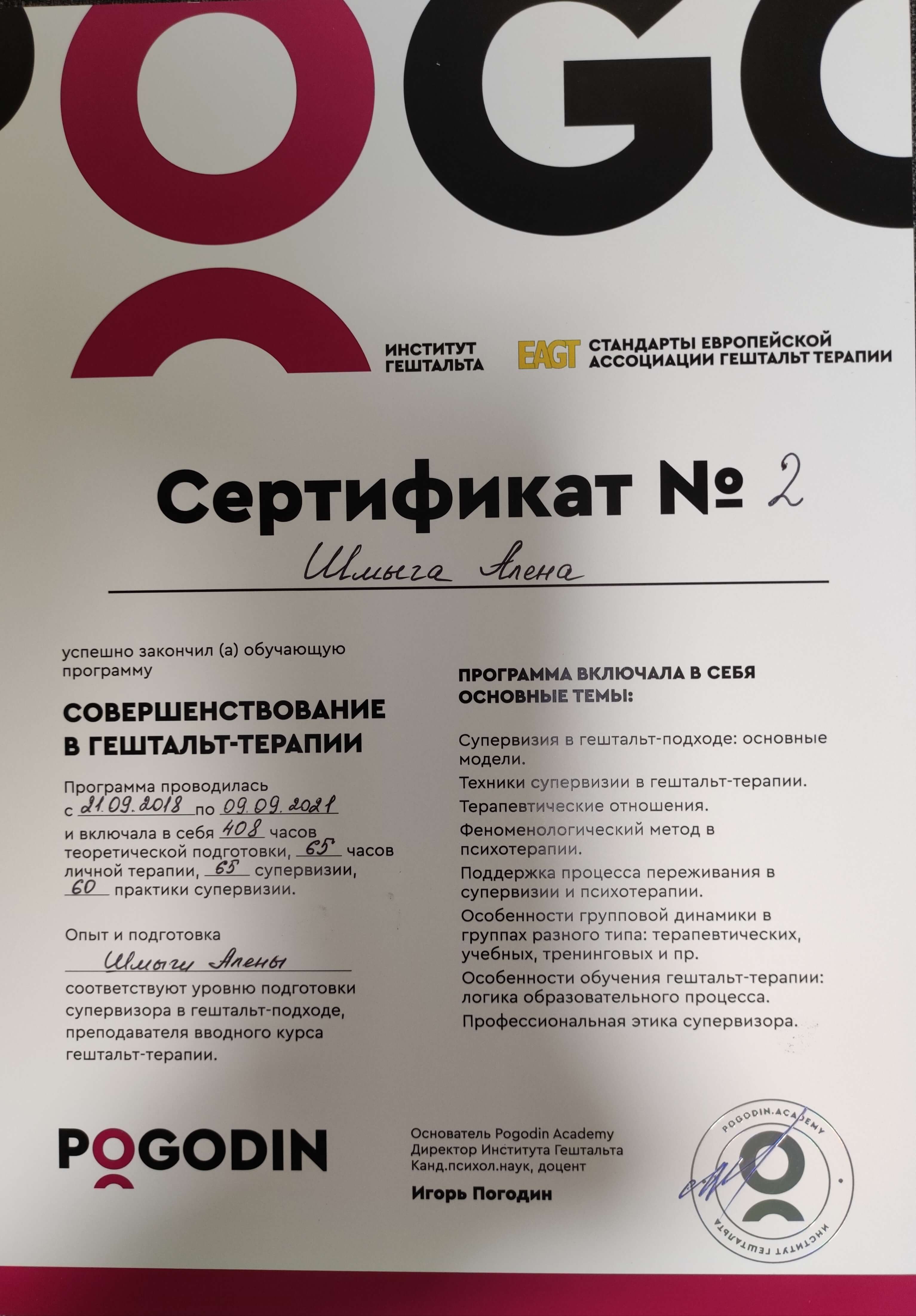 Сертификат 3 Алёна Шм...