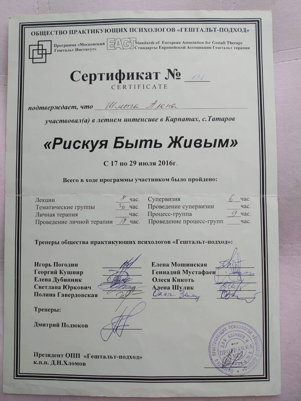 Сертификат 5 Алёна Шм...