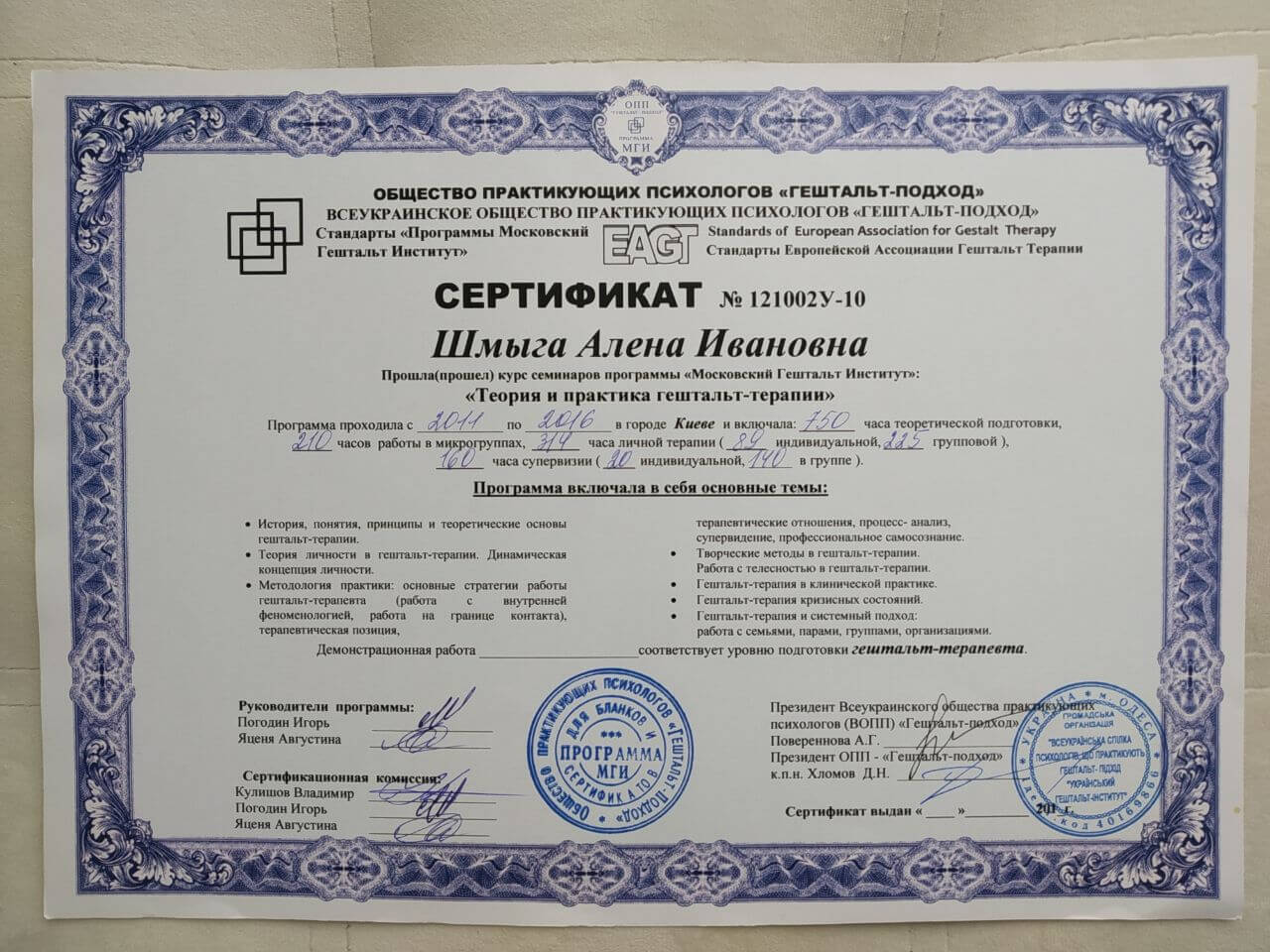 Сертификат 2 Алёна Шм...