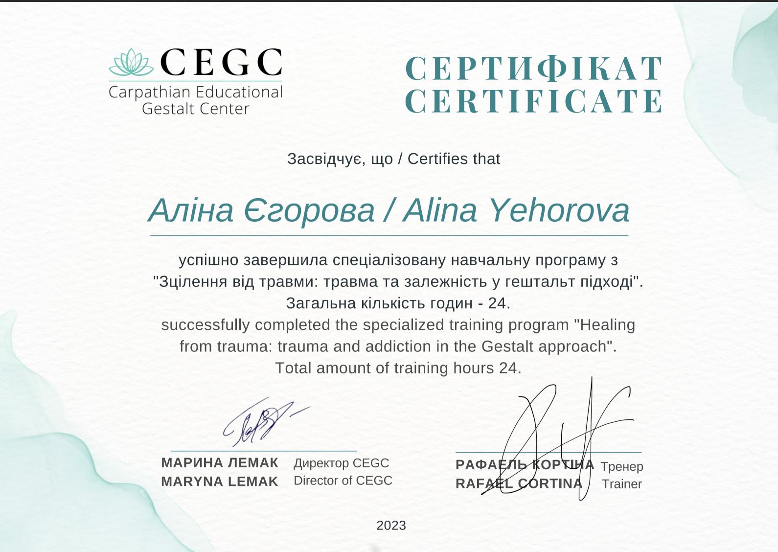 Сертифікат 2 Аліна Єг...