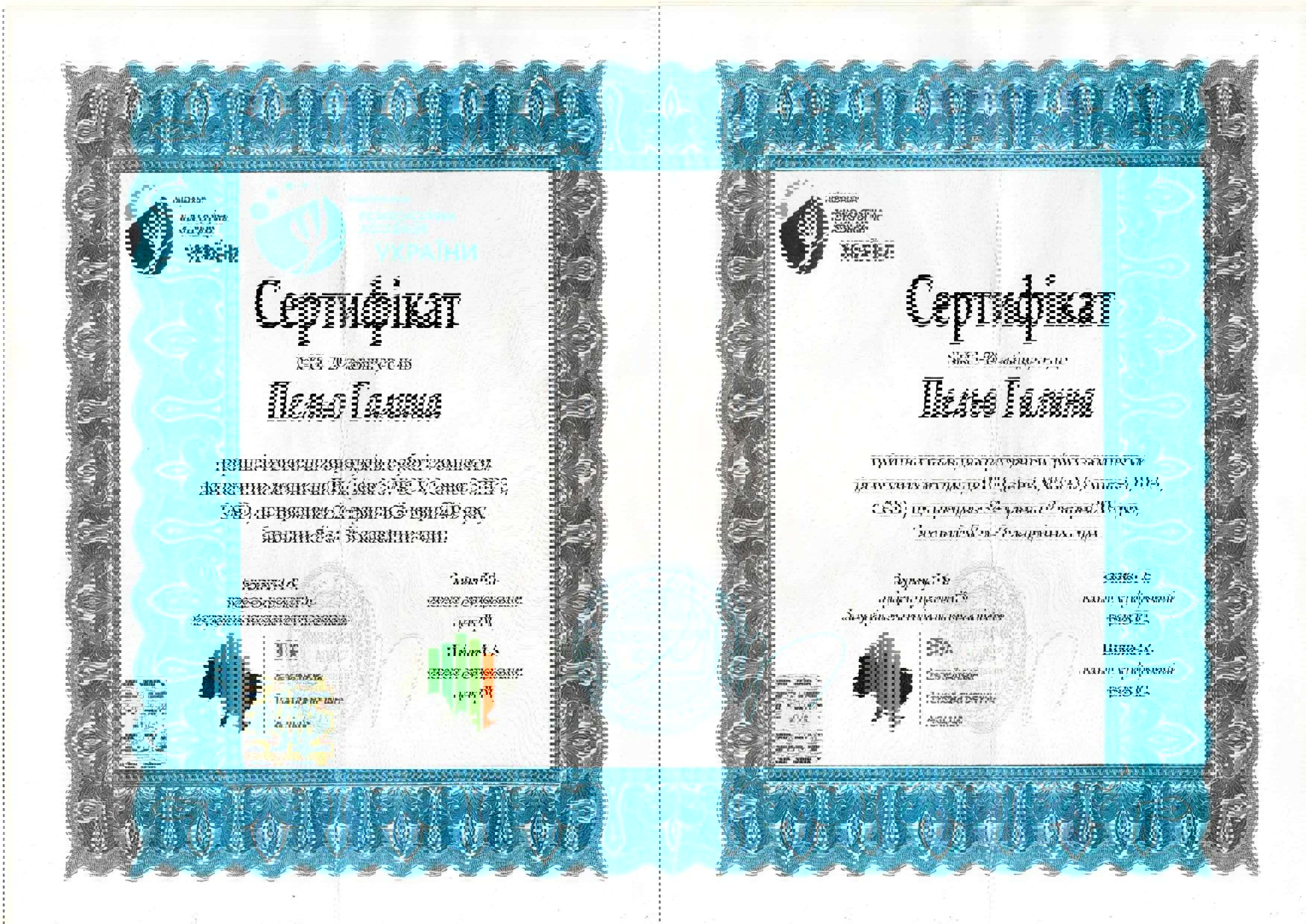 Сертификат 5 Галина Пе...