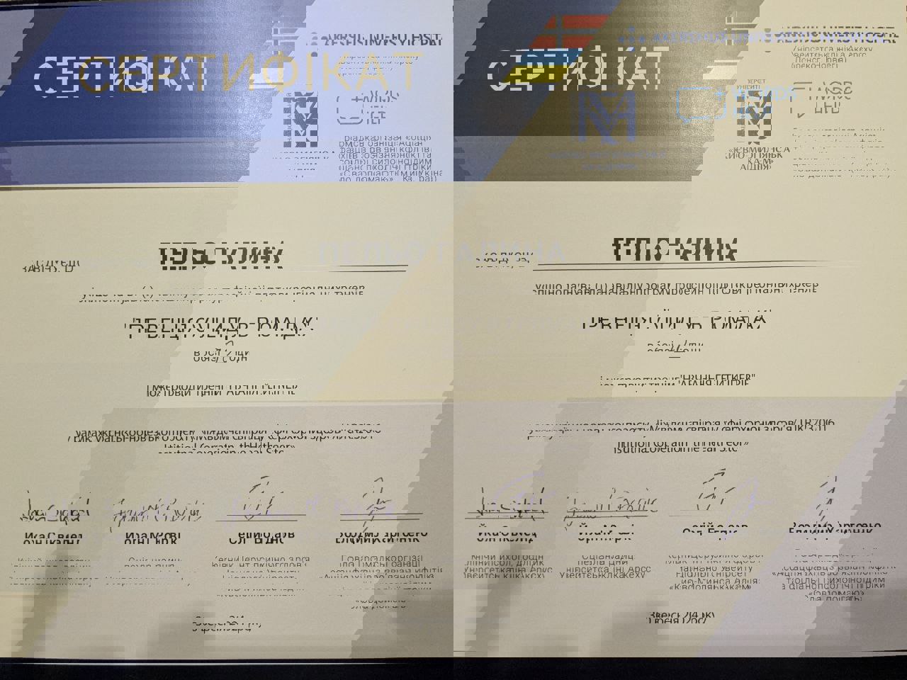 Сертификат 4 Галина Пе...