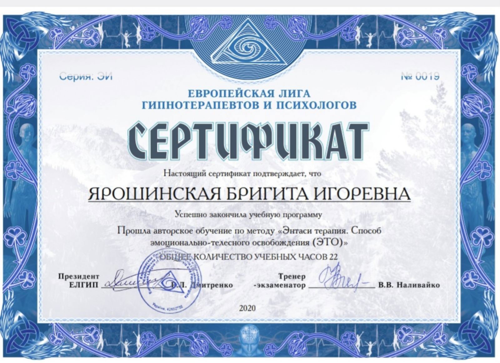 Сертифікат 2 Брігіта  Яр...