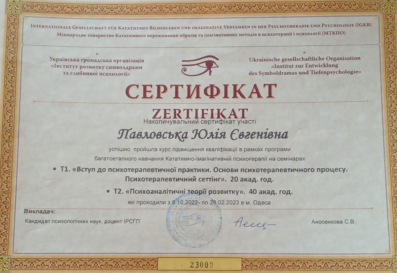 Сертификат 3 Юлия Па...