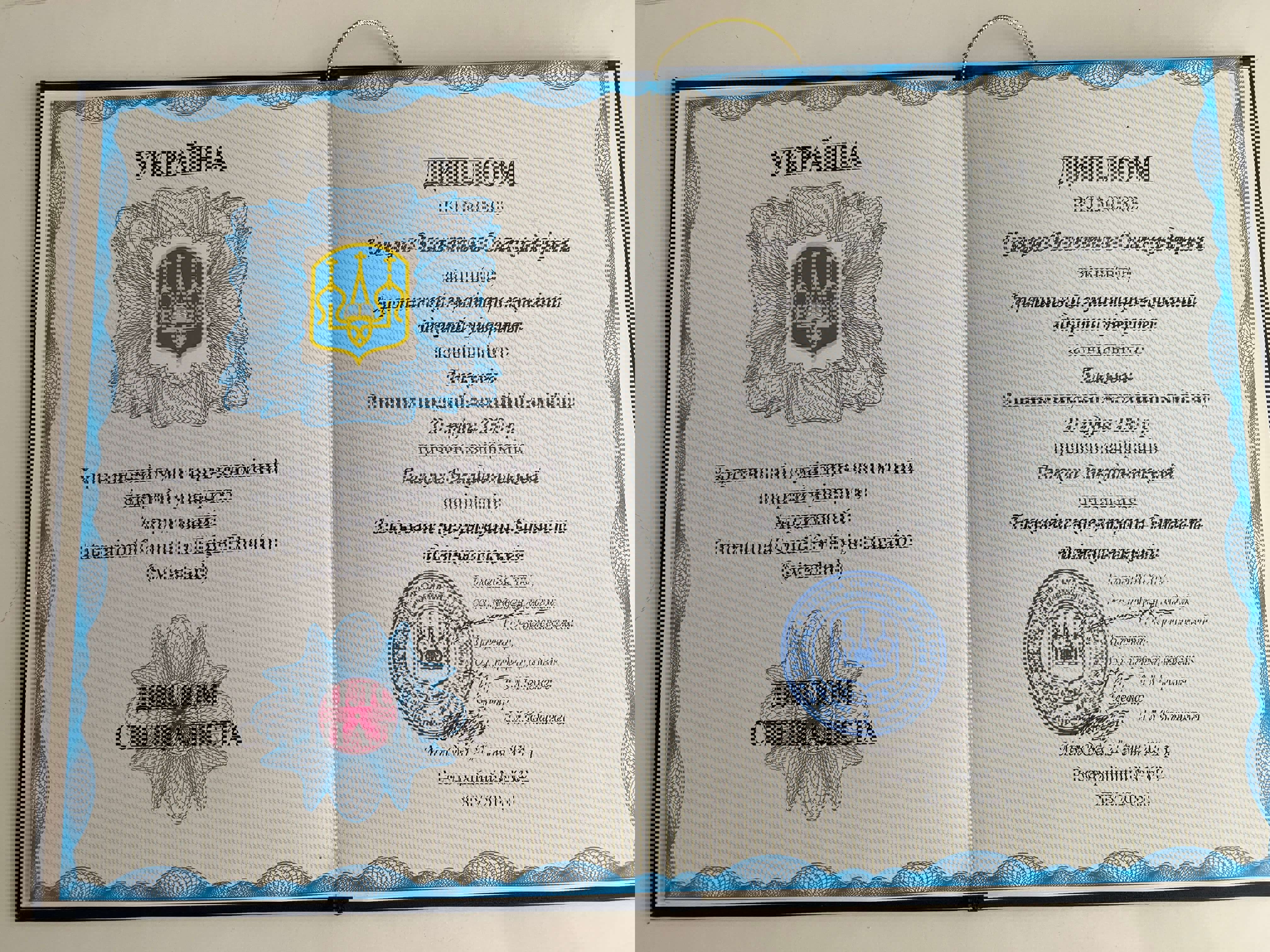 Сертификат 1 Валентина  Си...