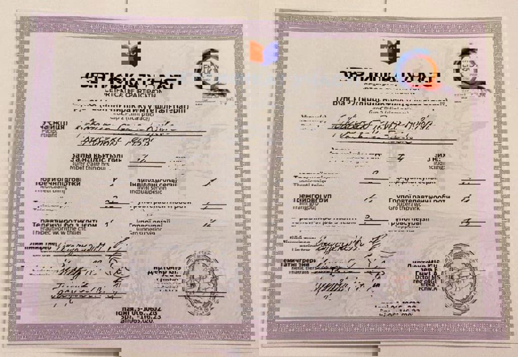 Сертификат 5 Татьяна Кр...