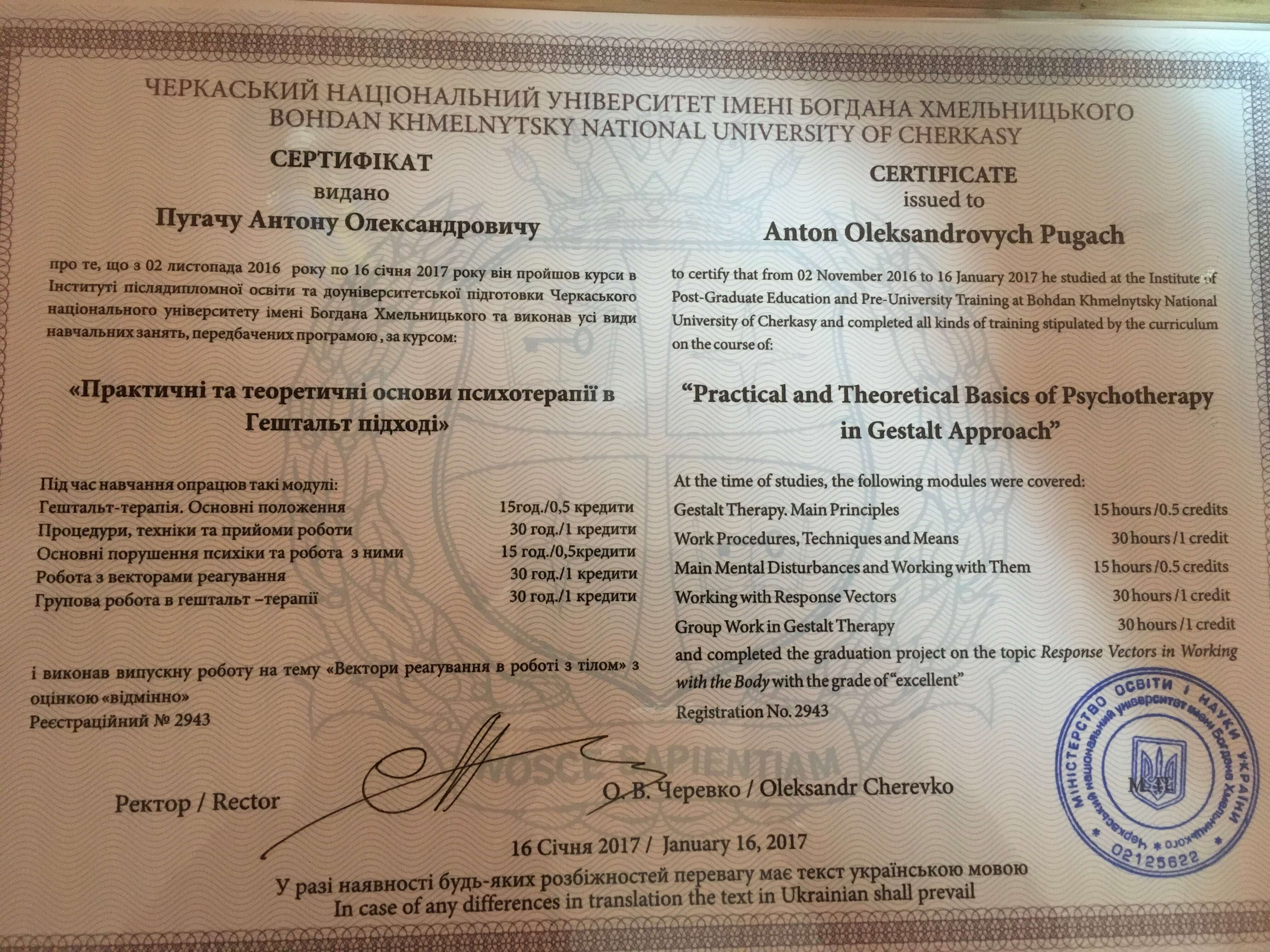 Сертификат 2 Антон Пу...