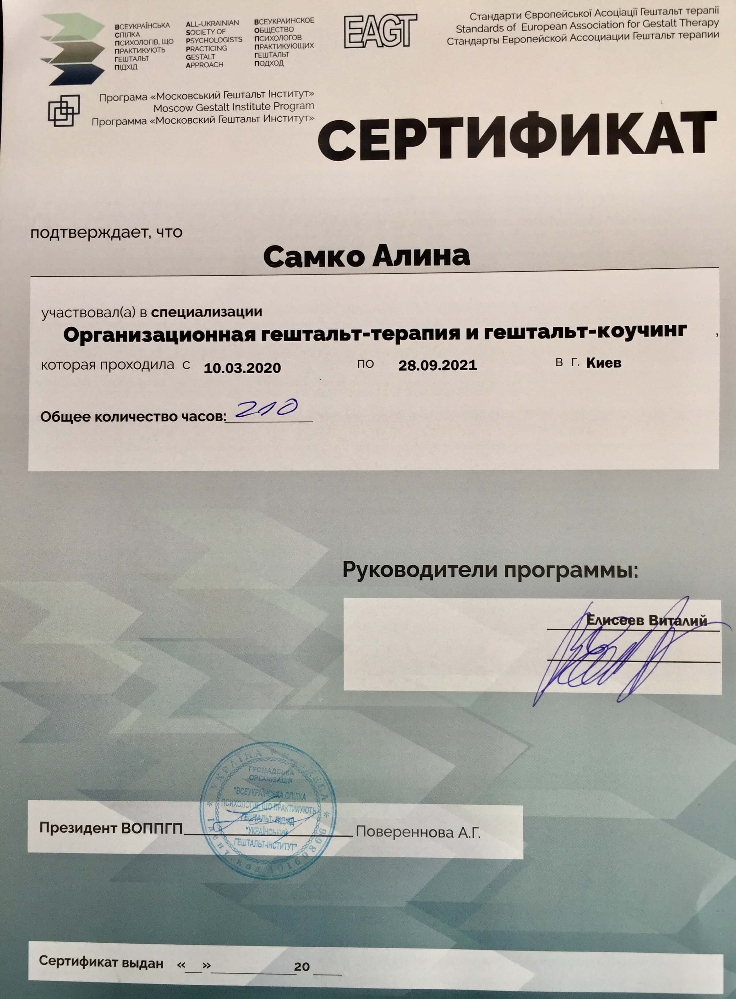 Сертифікат 2 Аліна Са...