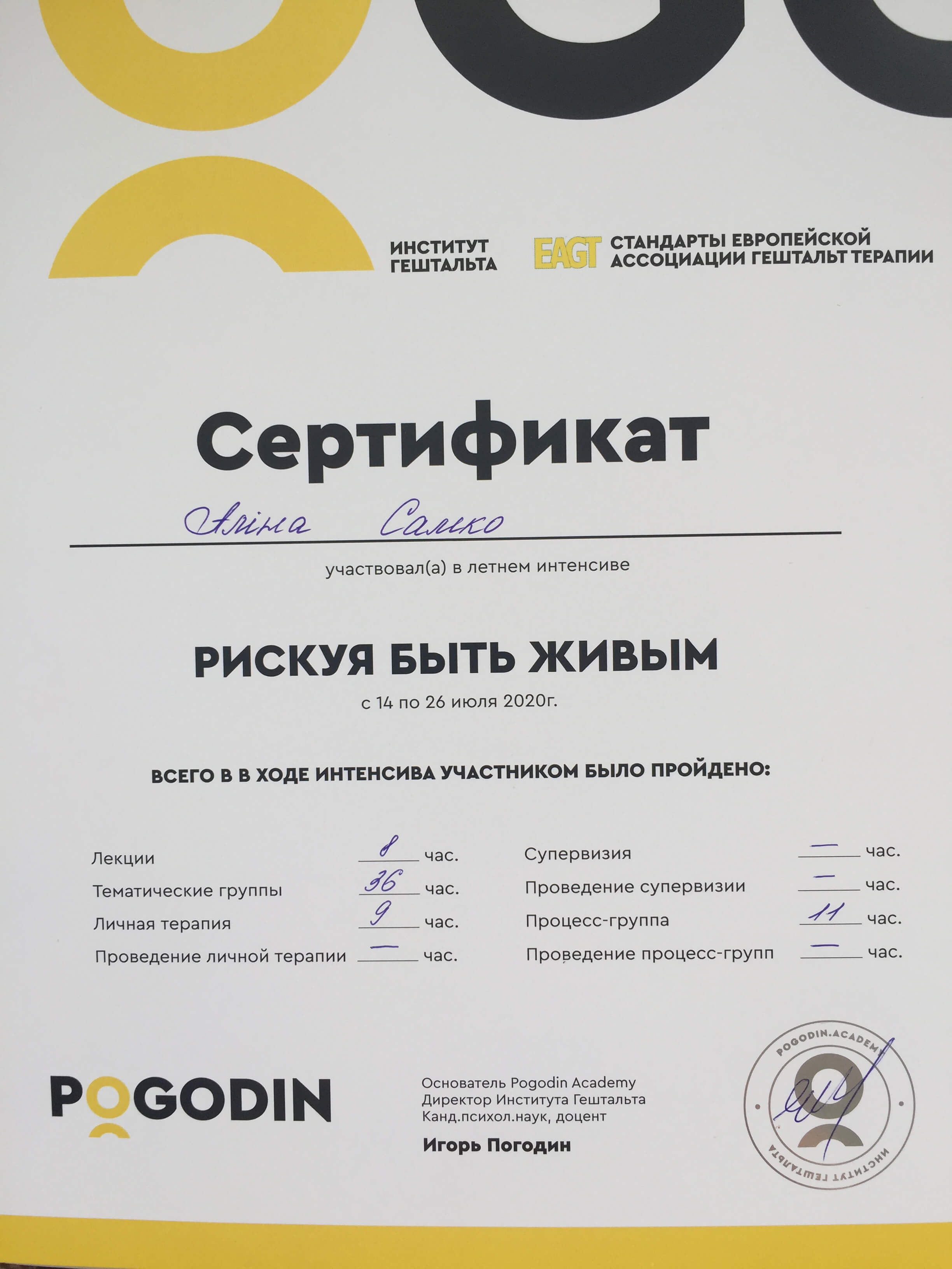 Сертифікат 4 Аліна Са...