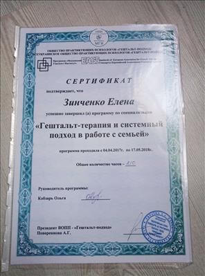 Сертифікат 5 Олена Зи...