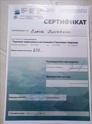 Сертифікат 4 Олена Зи...