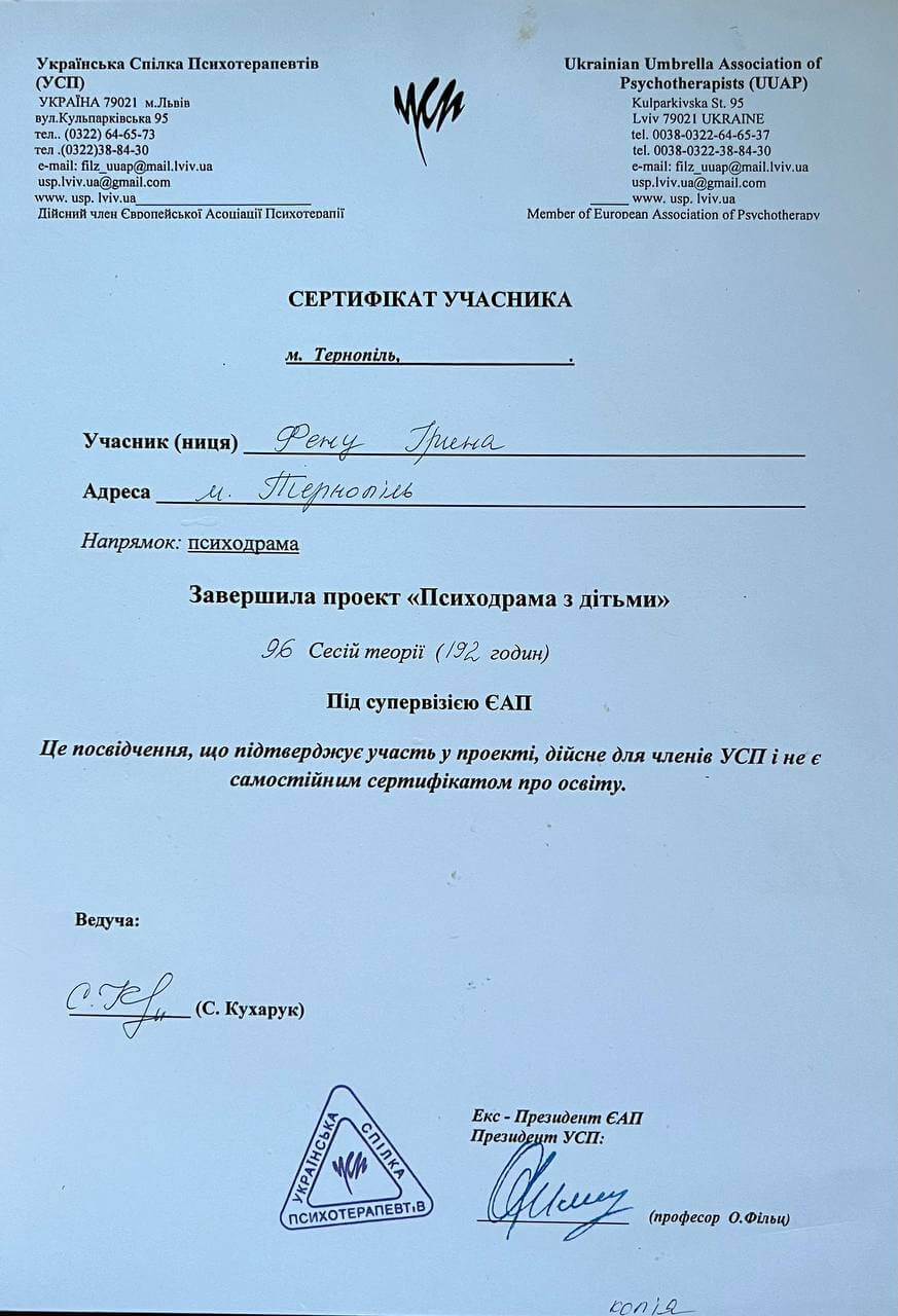Сертификат 3 Ирина Фе...