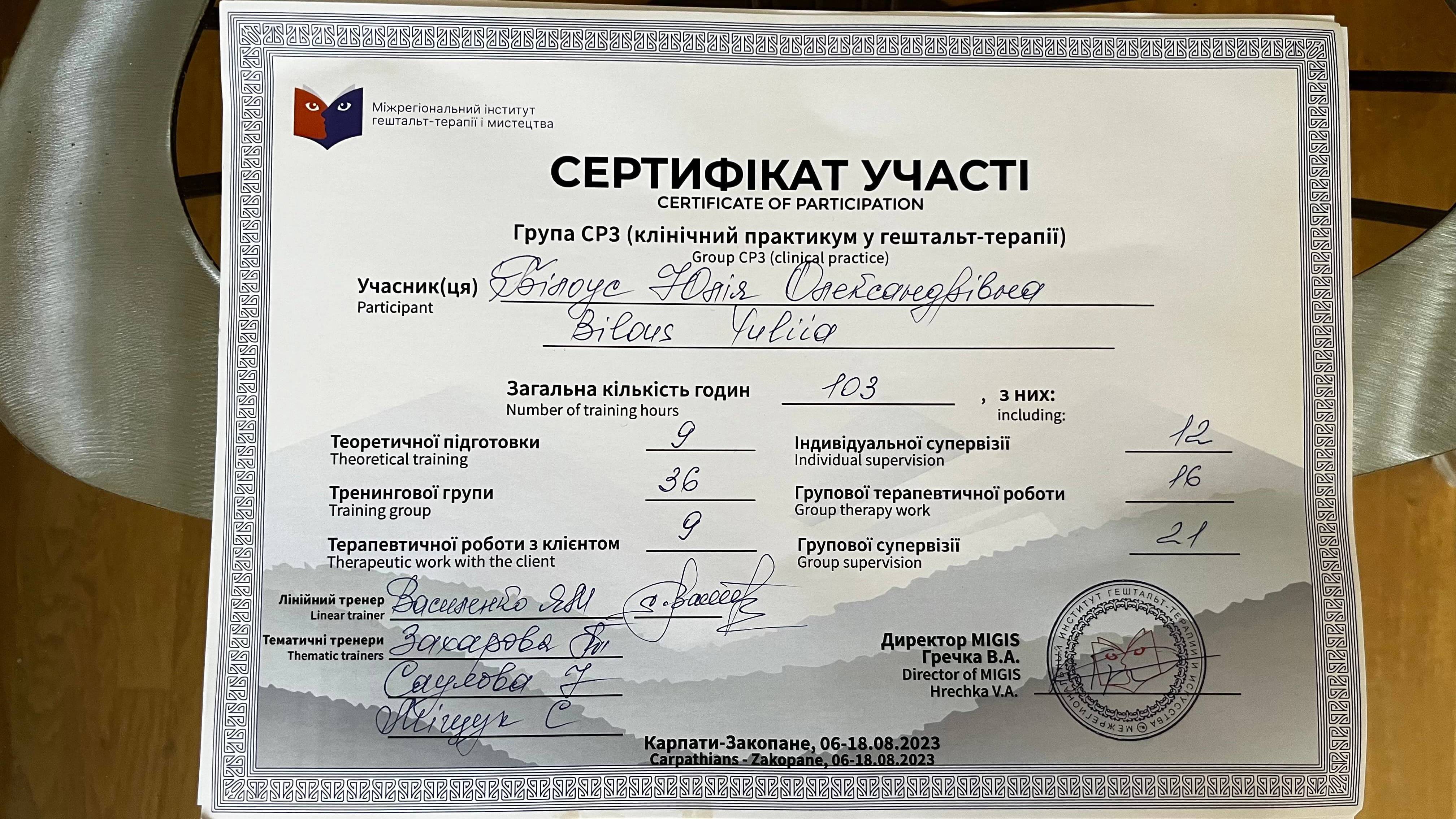 Сертифікат 2 Юлія  Бі...